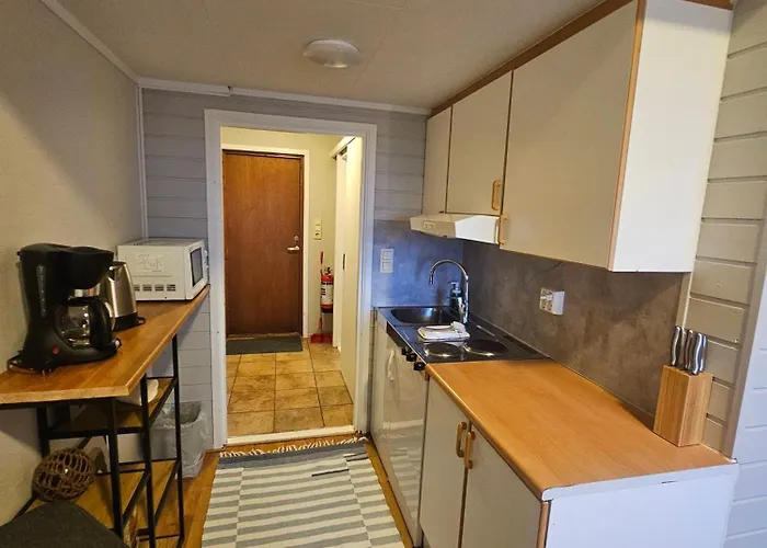 Apartment Fisher Loft 30 *